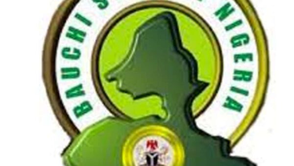 Bauchi govt dissolves Wikki Tourist management after relegation, appoints sole administrator
