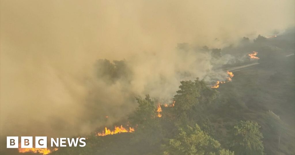 Watch: Thick smoke and flames as crews tackle Suffolk wildfire