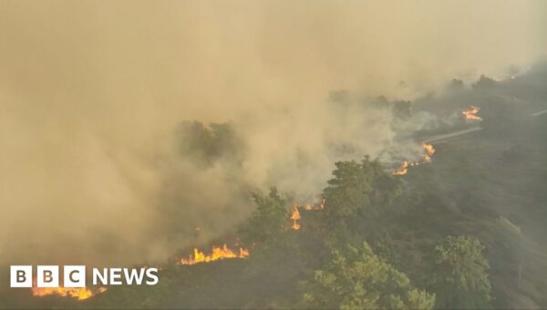 Watch: Thick smoke and flames as crews tackle Suffolk wildfire