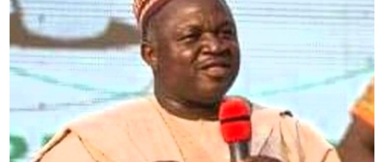 2027: Pick Christian deputy or risk losing votes – Vatsa tells Bago