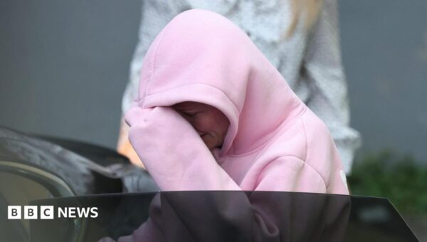 Law student is charged over intercepted bomb in car