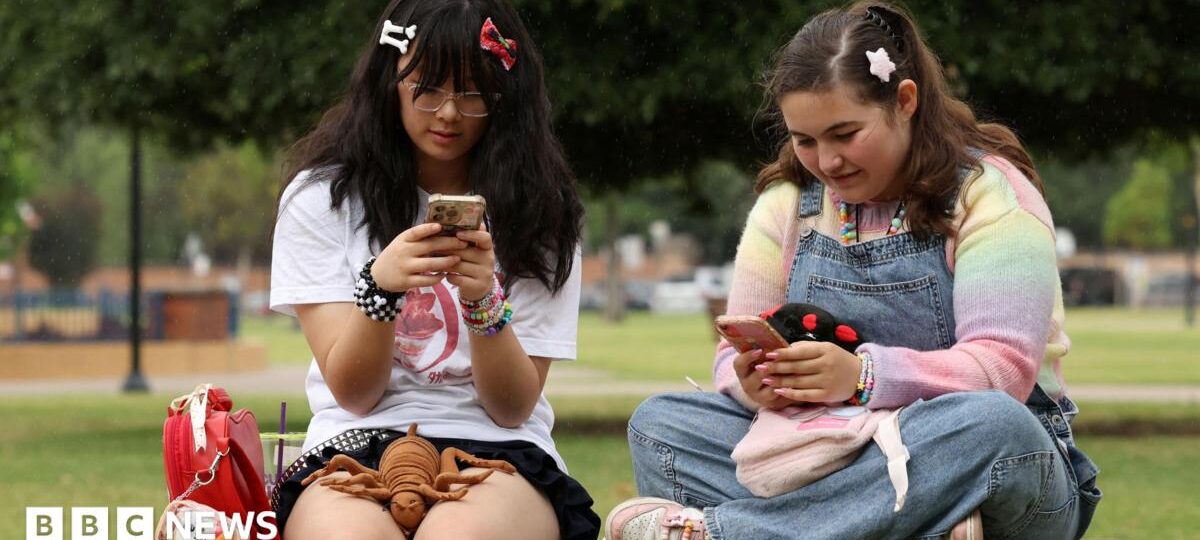 Teenager drops social media addiction lawsuit against Meta