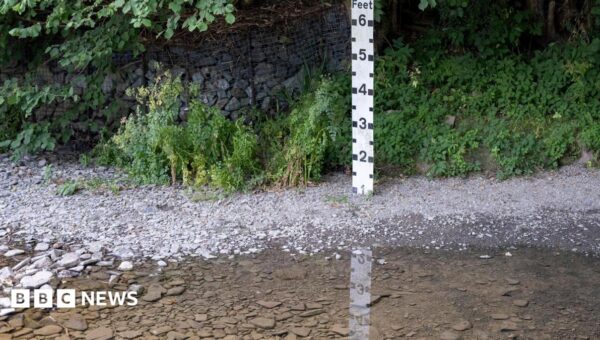 Why do parts of England and Wales keep falling into drought?