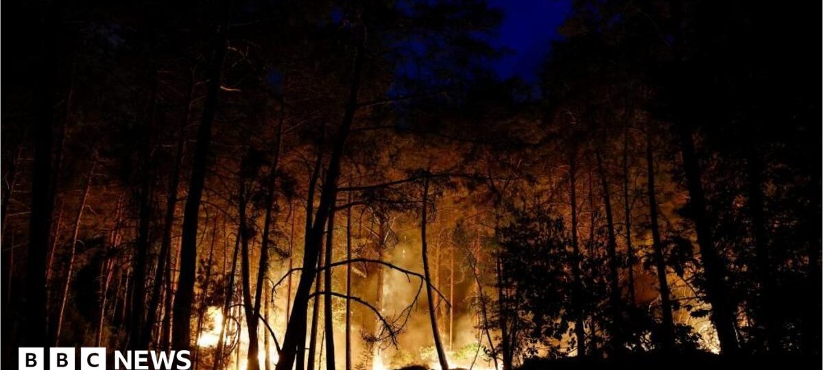 Planes sent to tackle wildfires of 'exceptional scale' near Paris
