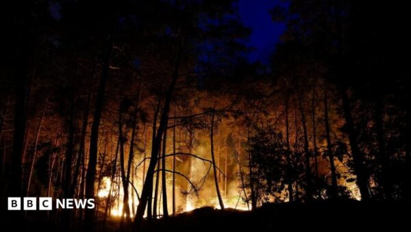 Planes sent to tackle wildfires of ‘exceptional scale’ near Paris