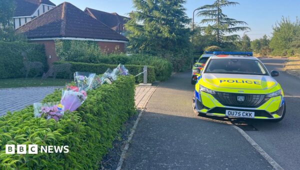 International manhunt after mother and two children found dead at home