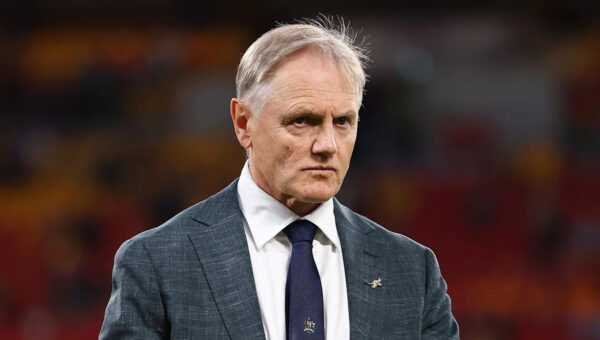 Schmidt to work with Ulster coaches