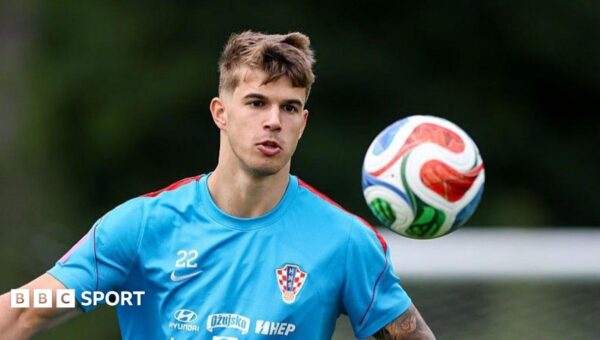 Brighton agree club record £46m Vuskovic deal