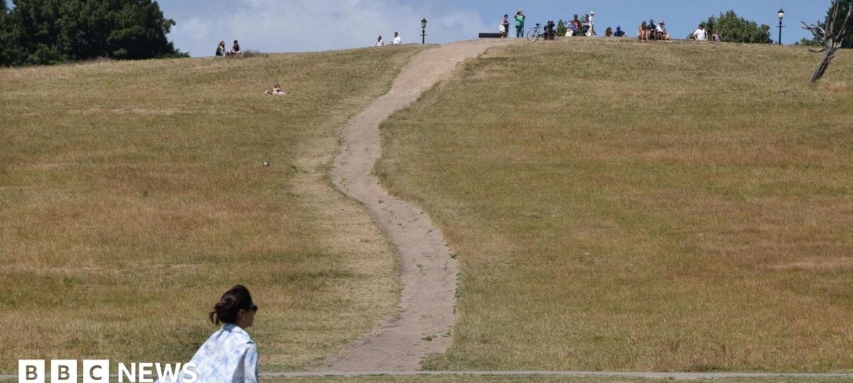 UK on track for record heat-related deaths this year, UKHSA estimates