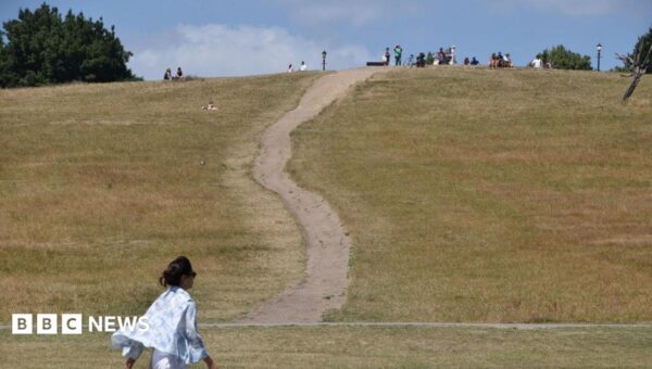 UK on track for record heat-related deaths this year, UKHSA estimates
