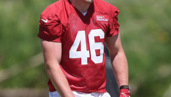 Arizona Cardinals training camp roster preview: TE Jameson Geers