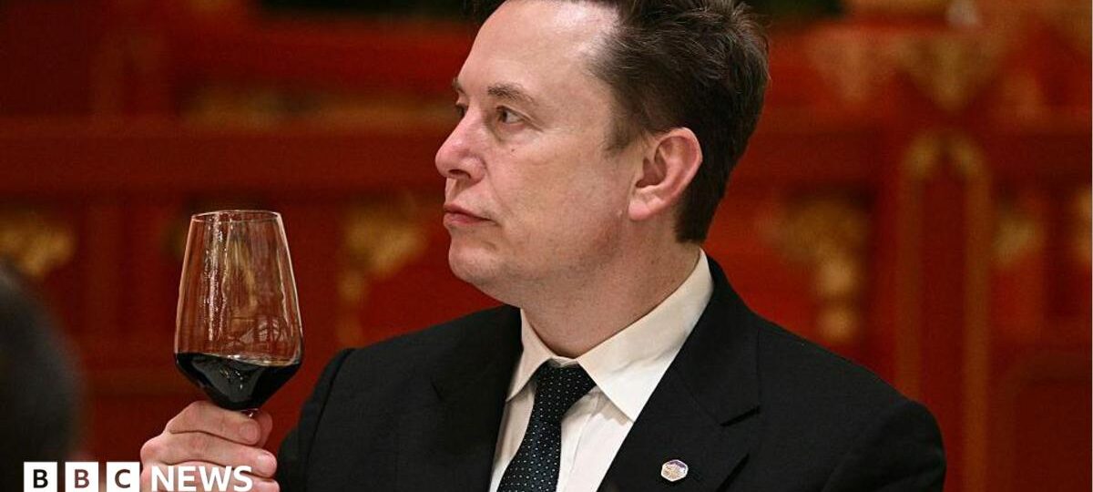 'Let's enjoy the ride' says Elon Musk, as AI fears mount