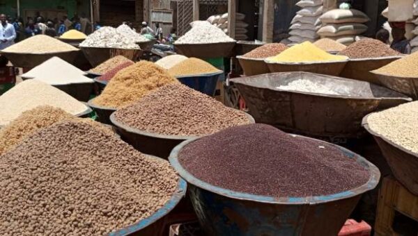 FG Targets 25 Million Tonnes Annual Grain Output