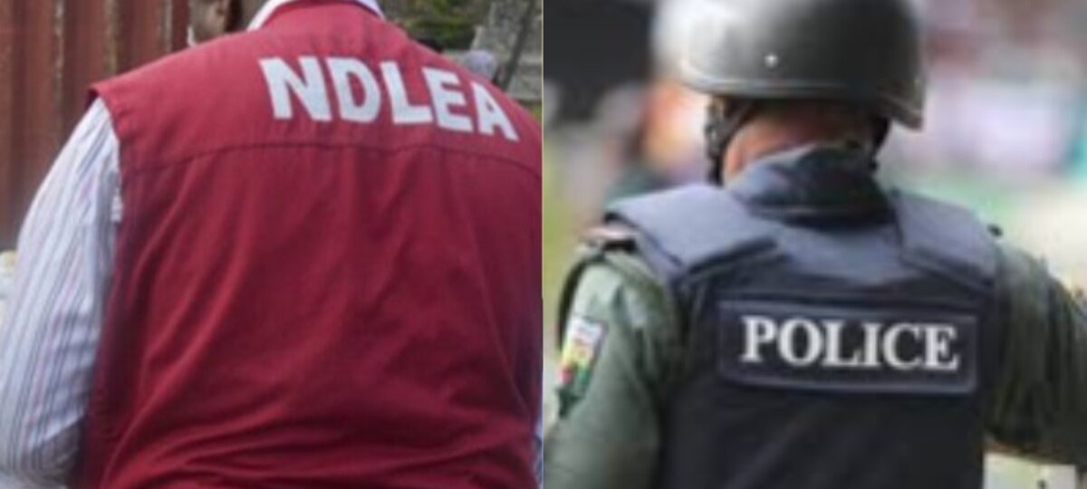 Hard drugs, substance abuse fuelling terrorism, kidnapping – Police, NDLEA warn