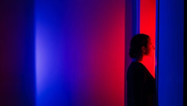 Consultants have found an unlikely new career path: policing AI