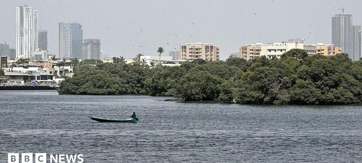 Search under way for cargo plane that vanished off Pakistan coast