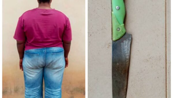 Police arrest woman for attempted murder of house help in Umuahia, recover knife
