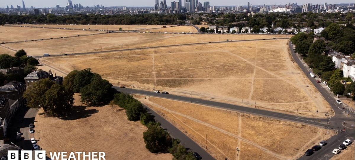 Rain to return this weekend as parts of UK on brink of drought