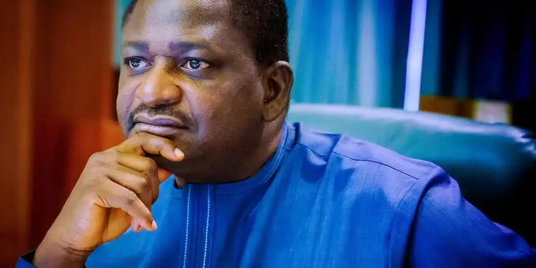 Nigerian youths frustrated, can’t find jobs, enjoy good life – Buhari’s ex-aide, Adesina