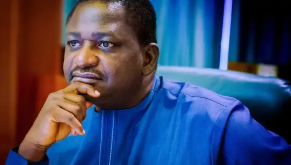 Nigerian youths frustrated, can’t find jobs, enjoy good life – Buhari’s ex-aide, Adesina