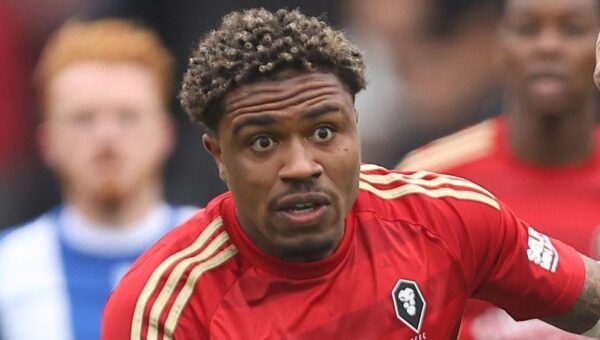 Rotherham sign midfielders Ashley and Jellis