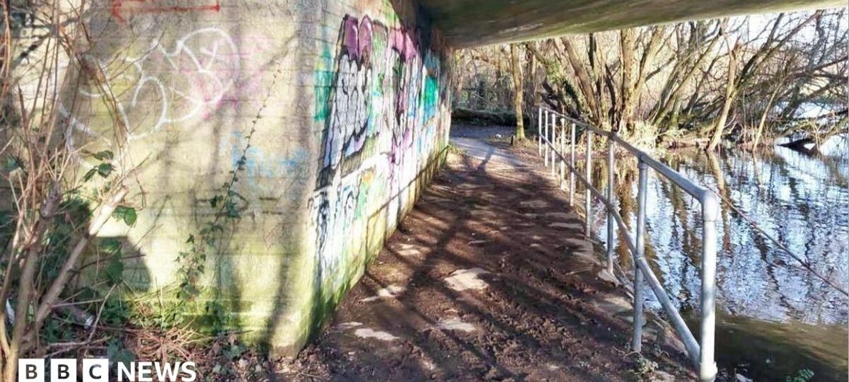 Girl reveals rape trauma ahead of sentence review