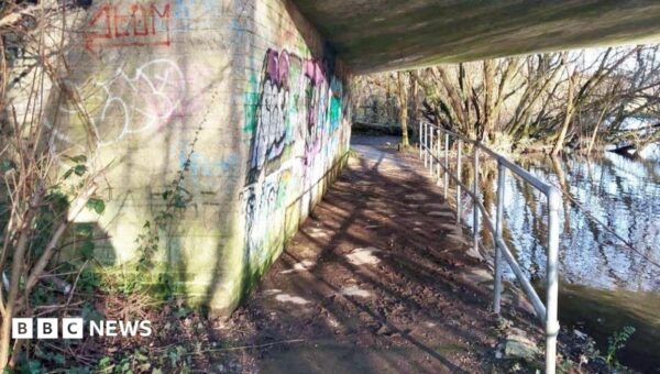 Girl reveals rape trauma ahead of sentence review