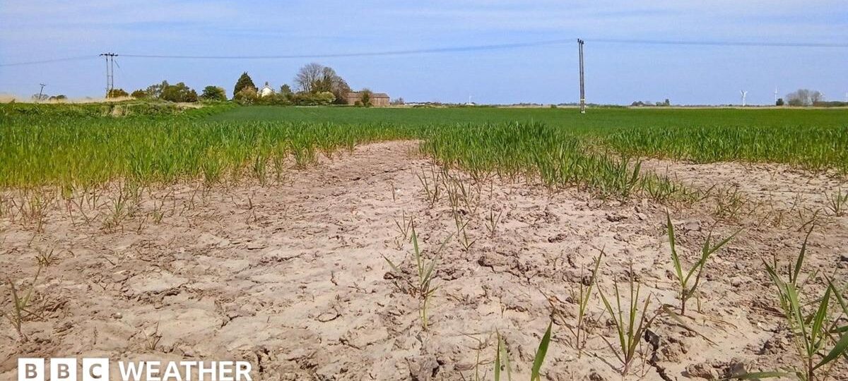 Is UK facing drought for second summer in a row?
