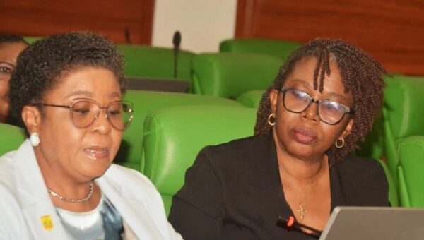 PFIPC Probe: Head Of Civil Service Admits Due Diligence Failed, Accepts Responsibility