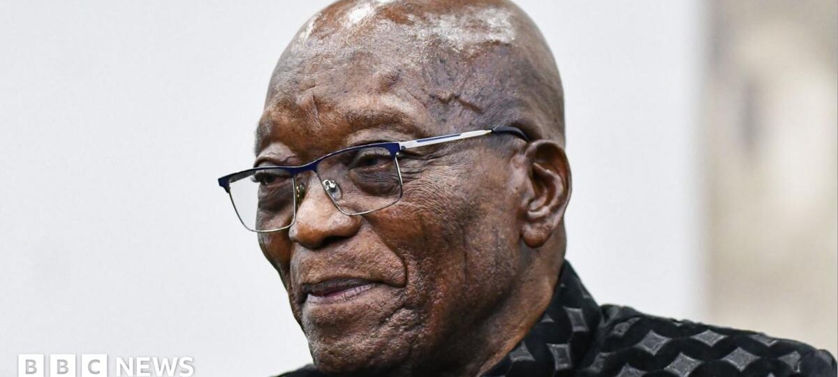 Zuma showing South Africa 'middle finger' by meeting Gupta brother - minister