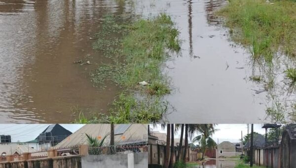 Our lives are in danger’ – Owerri residents lament as flood takes over homes