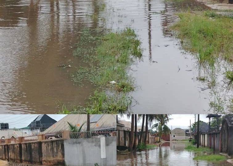 Our lives are in danger’ – Owerri residents lament as flood takes over homes