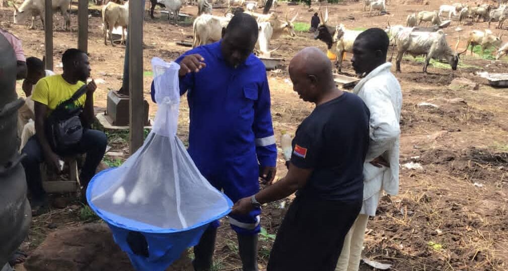 FG directs Abia to site veterinary clinic at Lokpanta market, warns of public health risks