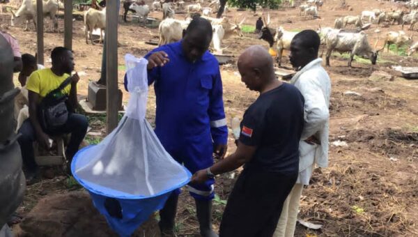 FG directs Abia to site veterinary clinic at Lokpanta market, warns of public health risks
