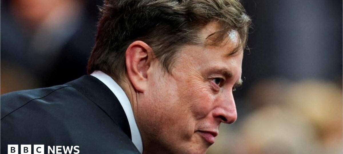 Musk takes 'crusade' to Europe with Armie Hammer film