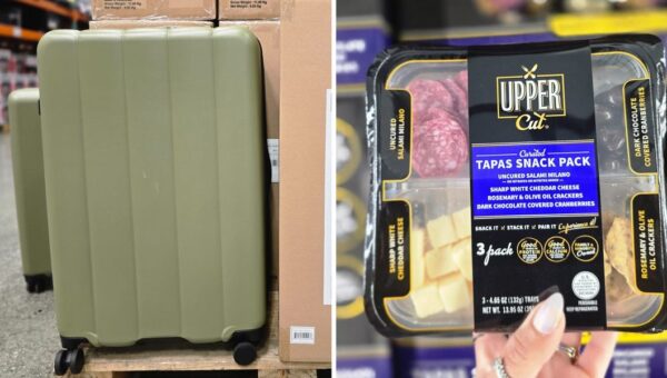 I've worked at Costco for 20 years. Here are 7 of the best things I'm seeing on shelves right now.
