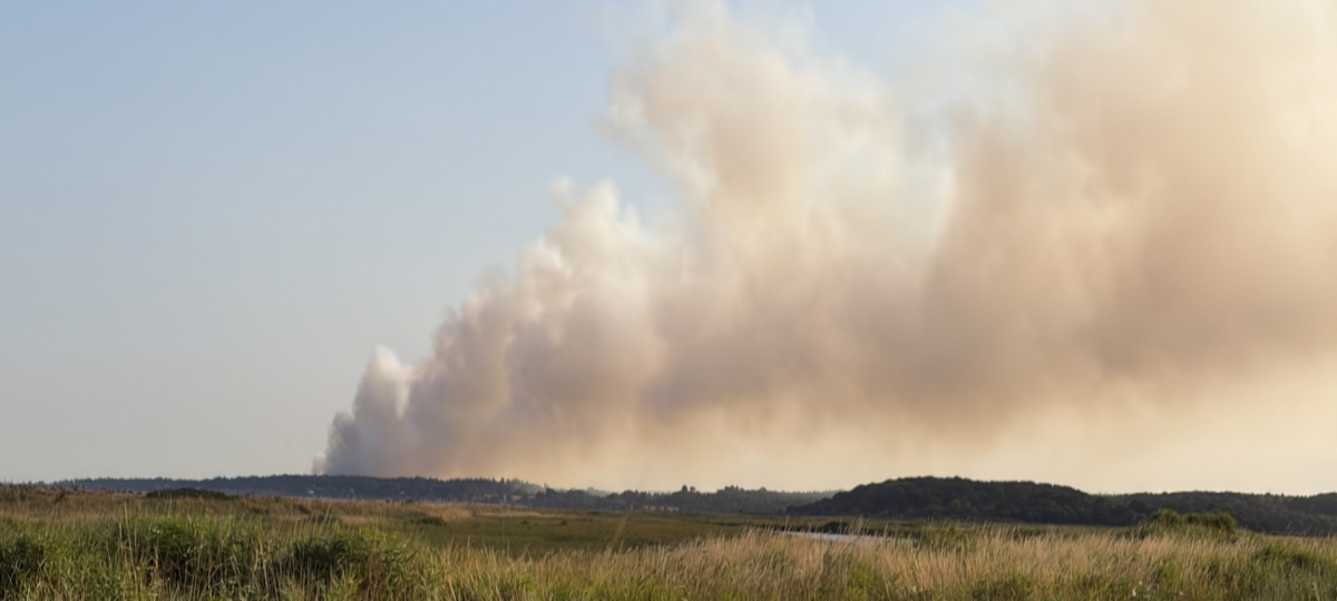 Major incident declared over coastal heath fire in Suffolk