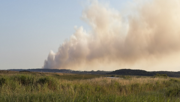 Major incident declared over coastal heath fire in Suffolk