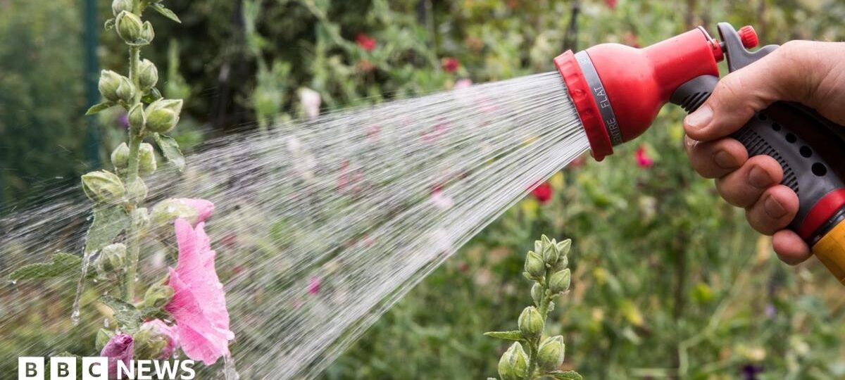 Hosepipe ban in force for millions of households - is your area affected?