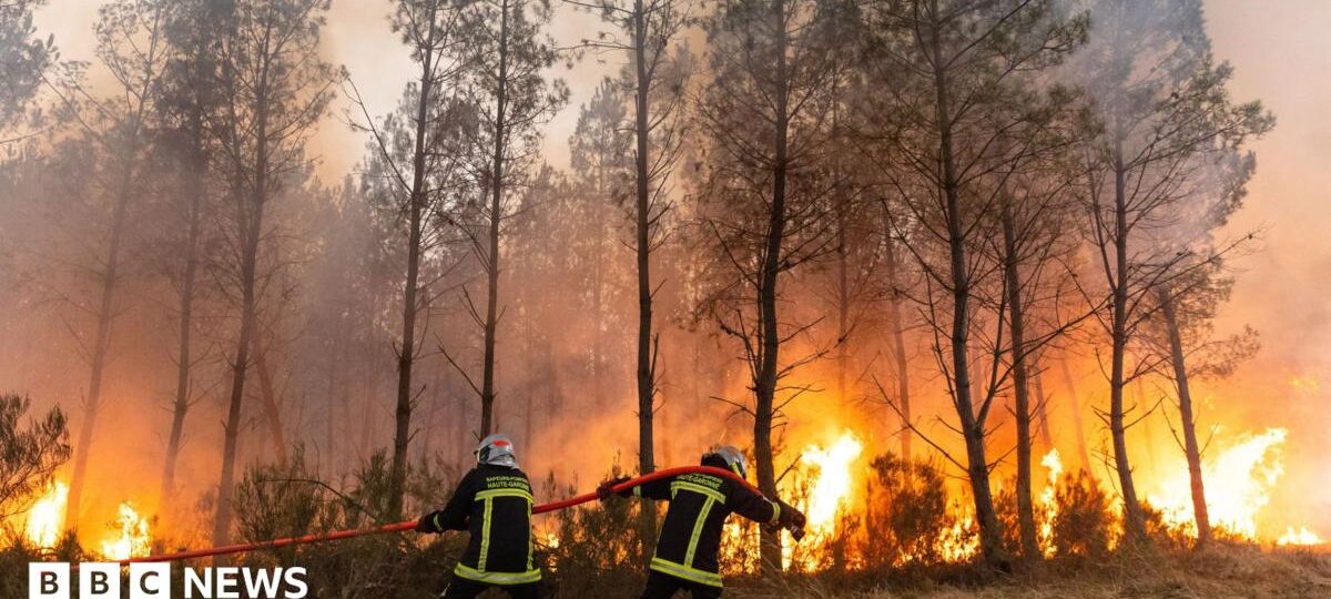 France and Spain wildfire witnesses describe 'wall of flames', fear and stress