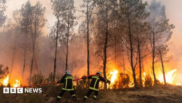 France and Spain wildfire witnesses describe ‘wall of flames’, fear and stress