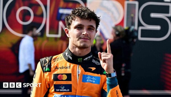 Norris wins his first grand prix of year in Hungary