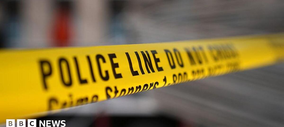 At least two killed in Toronto street festival shooting