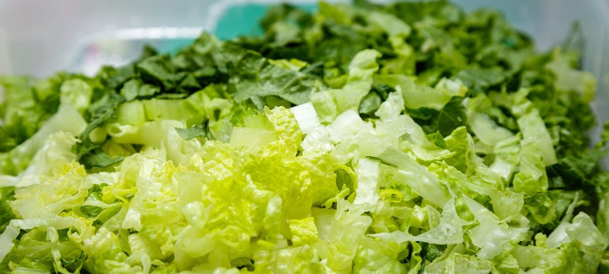 Shredded lettuce supplied to Taco Bell identified as a source of cyclospora that causes watery diarrhea