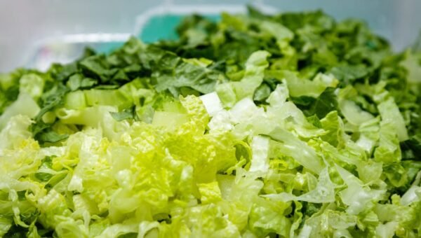 Shredded lettuce supplied to Taco Bell identified as a source of cyclospora that causes watery diarrhea