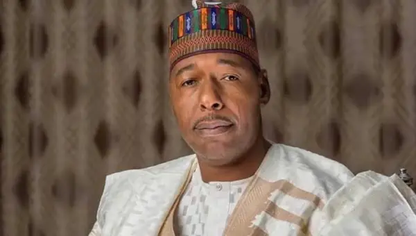 Borno government approves N1.6B to clear outstanding scholarship balances