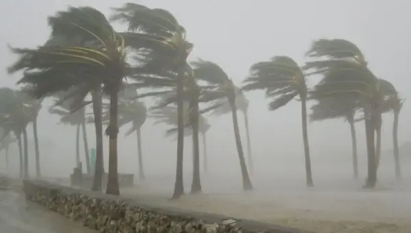 Windstorm kills seven, injures 53 in Jigawa