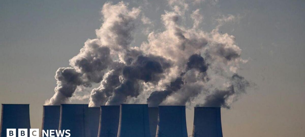 EU proposes slowing down cuts to carbon emissions for businesses