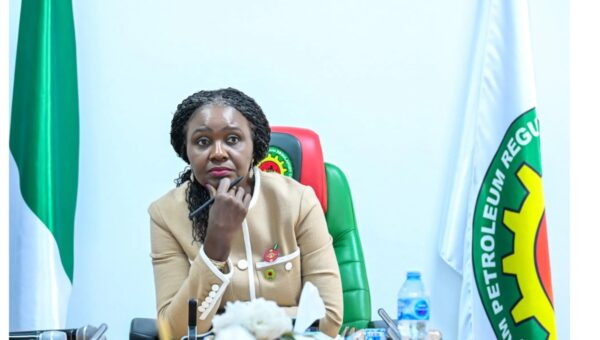 Nigerian govt returns 13 oil blocks to licensing basket as 143 firms submit bids