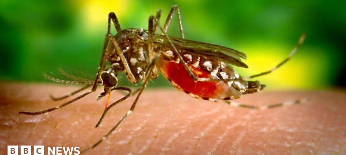 What is the mosquito-borne disease Sri Lanka is using drones to fight?